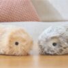 ペットを飼わない優しさと、AIに癒やされる生活のあいだ